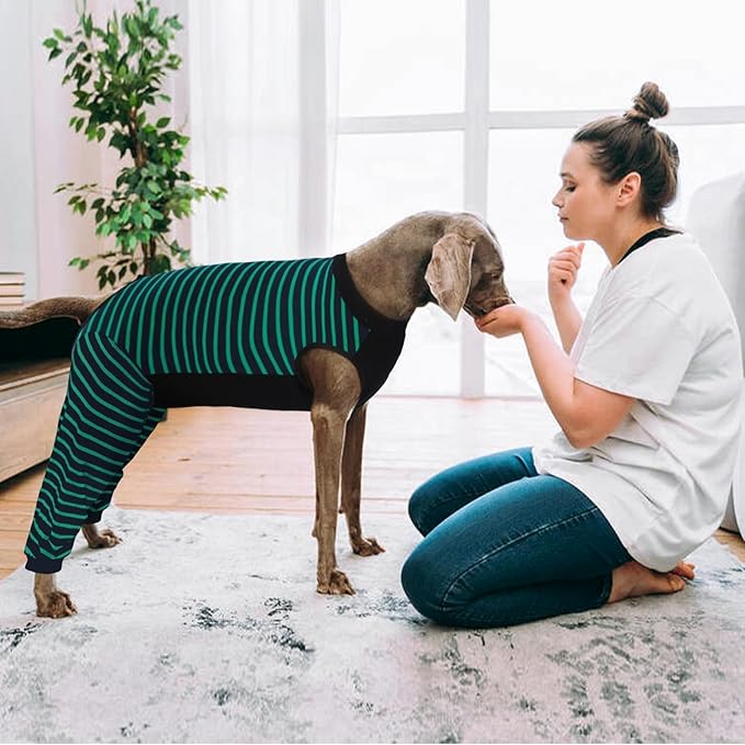 Kuoser Dog Recovery Suit, Anti Licking Dogs Rear Leg Sleeve, Abdominal Dog Surgical Suit with Pants Cover Protect Wounds, Dogs Elbow Protector Soft Pet Surgery Onesie Cone Alternative, Green XL