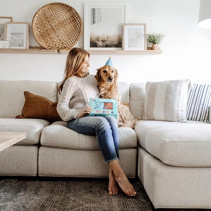 ZippyPaws Birthday Box - Dog Squeaky Toys to Keep Them Busy, Funny Food Plush for Small, Medium, & Large Dogs, Cute Stuffed Puppy Toy & Hat, Pet Products, Gift for Dogs of All Breeds - 3-Pack