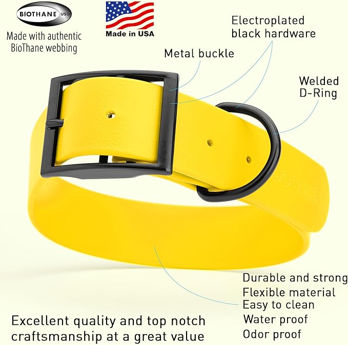 Dogline Biothane Waterproof Dog Collar Strong Coated Nylon Webbing with Black Hardware Odor- Proof for Easy Care Easy to Clean High Performance Fits Small Medium or Large Dogs, Lemon Yellow