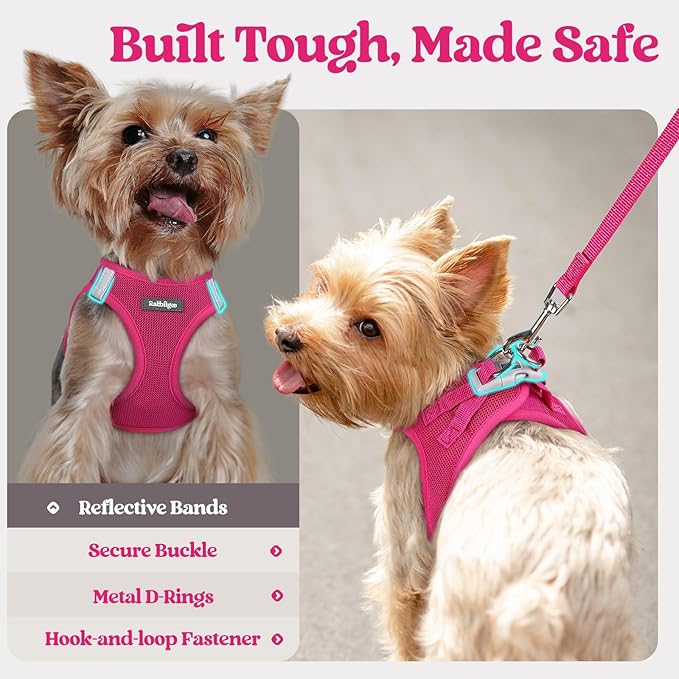 rabbitgoo Dog Harness Small Medium Sized and Leash Set, Step in Soft Light Puppy Vest, Breathable Mesh Pet Harness, Reflective for Safe Easy Walking, Rosa Red XL