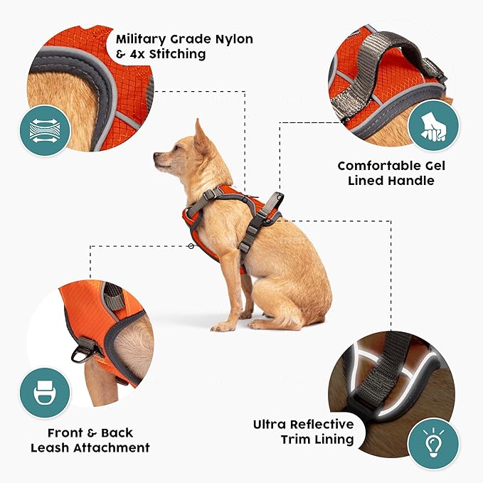 Embark Adventure Dog Harness, Reflective Trim No Pull Dog Harnesses for Small Sized Dogs - Military Grade Nylon, Front Clip with Gel Lined Handle.