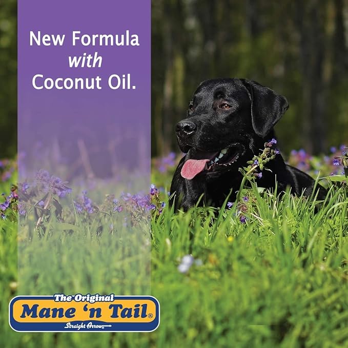 Mane 'n Tail Ultimate Gloss Combo Set for The Ultimate Long Lasting Shine