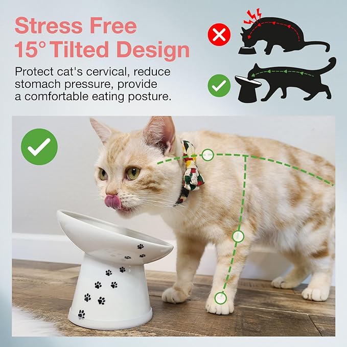 Necoichi Extra Wide Raised Cat Food Bowl, Elevated, Prevent Neck & Whisker Fatigue, Dishwasher and Microwave Safe, No.1 Seller in Japan! (Cat, Extra Wide Tilted)