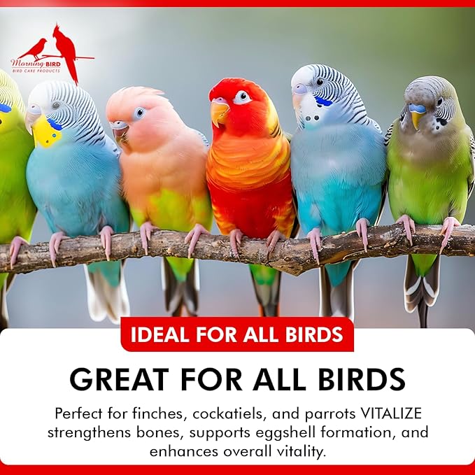 Morning Bird Vitalize, Supplement for Sick, Injured, or Stressed Caged Birds; Dehydration and Exhaustion Treatment for Parakeets, Cockatiels, Budgies, Finches, Canaries, and Parrots, 3 oz