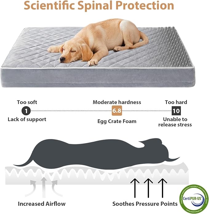 WNPETHOME Orthopedic XL Dog Bed for Crate, Waterproof Extra Large Dogs Bed with Removable Washable Cover, Multi-Needle Quilting Dogs Crate Bed