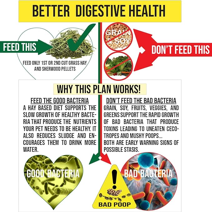 Sherwood Pet Health Adult Rabbit Food Timothy Hay Free-Choice 20lbs Hay-Based, Grain and Soy-Free for Better Digestion