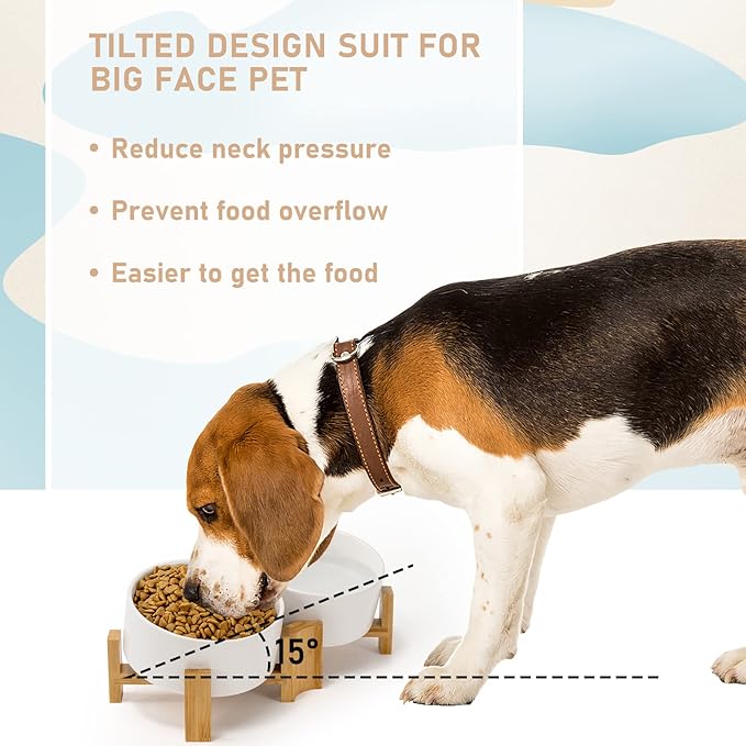 SPUNKYJUNKY 15° Slanted Ceramic Dog and Cat Bowl with Wooden Stand, Tilted Bulldog Food and Water Bowl No Slip Non-Spill for Cats Medium Dogs Big Face Pets 28.7 OZ (3.6 Cups, White × 2)