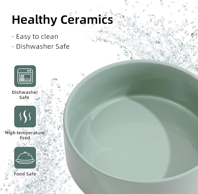 Ceramic Elevated Cat Food and Water Bowl, Kitty Bowl, Raised Cat Dish, Pet Feeder (5.1 in,1 x Light Green + Stand)