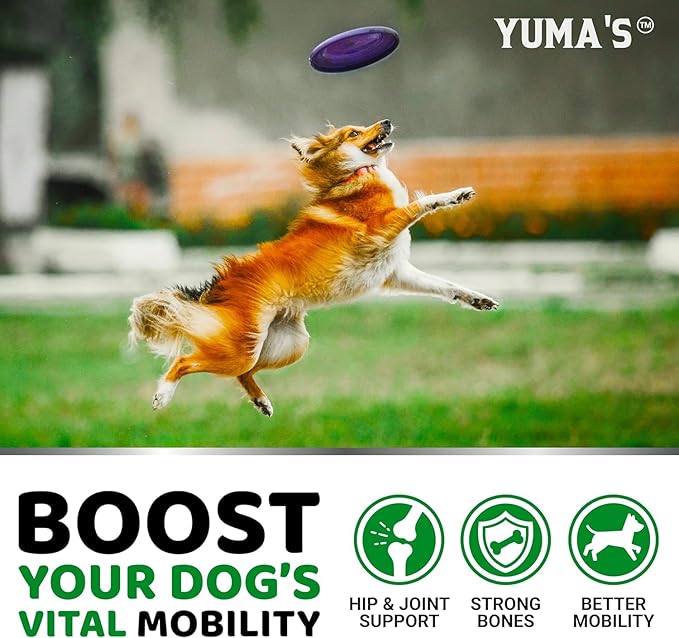 YUMA'S (2 Pack) Glucosamine for Dogs - Hip and Joint Supplement for Dogs - Glucosamine Chondroitin Chews - Joint Pain Relief Supplement with MSM - Advanced Health - Mobility Support - Made in USA