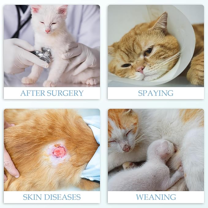 ANWA 2 Pack Cat Recovery Suit - Breathable Cat Onesie for Cats After Surgery Female, Kitten Surgery Recovery Suit Female Abdominal Wounds