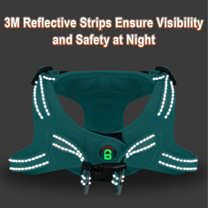 Dog Harness Step in Dog Vest Harness, Reflective Adjustable Puppy No Pull Harness Breathable Soft for Small and Medium Dogs Cats, Ocean Blue, XXS