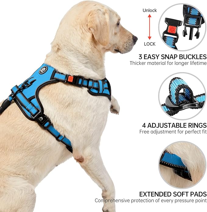 NESTROAD No Pull Dog Harness,Adjustable Oxford Dog Vest Harness with Leash,Reflective No-Choke Pet Harness with Easy Control Soft Handle for Small Dogs(X-Small,Blue)