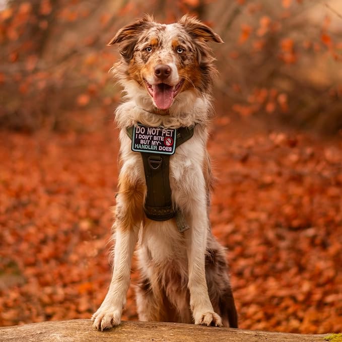 rabbitgoo Dog Harness Medium Sized No Pull, Tactical Service Pet Vest with Molle and Control Handle, Adjustable and Reflective Military Harness for Easy Walking and Training, Red, M