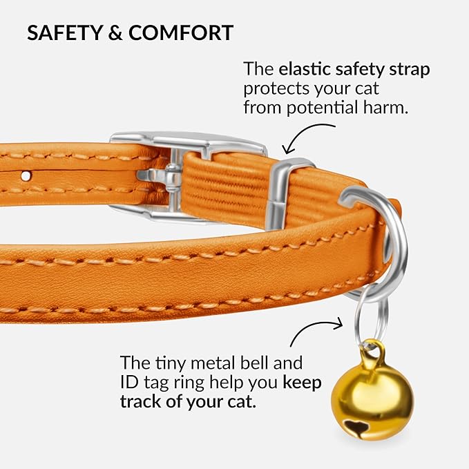 CollarDirect Leather Cat Collar with Bell - Kitten Collar, Small and Big Cat Strap for Boy Cats, Girl Cats with Safety Elastic Strap (Neck Fit 6"-7", Orange)