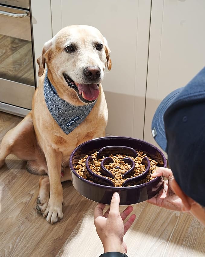 LE TAUCI Slow Feeder Dog Bowls Ceramic, 3 Cups Slow Feeding Dog Bowl Medium Large Breed, Pet Bowl for Fast Eaters, Puzzle Pet Dishes, Maze Purple