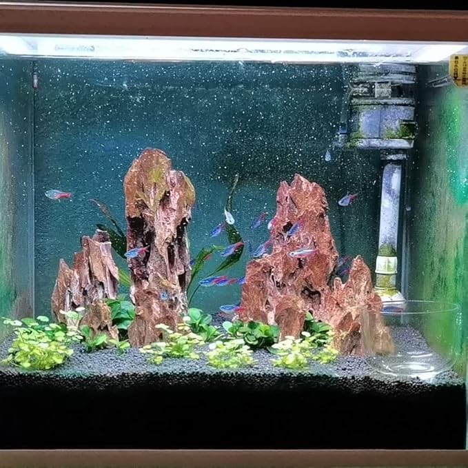 Natural Dragon Rock Carefully Selected Mixed Sizes, Decorative Aquarium Rocks, Aquarium Stones for Fish Tank (4.4lb)