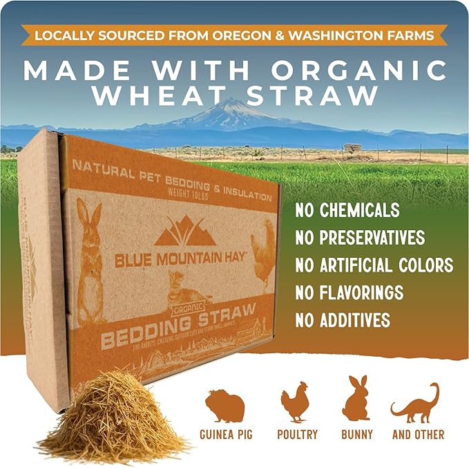 Blue Mountain Hay | Organic Bedding Straw (25 lb) | Natural Pet Bedding & Insulation for Rabbits, Guinea Pigs, Goats, Chickens, Stray & Feral Cats, and Small Animal Shelters