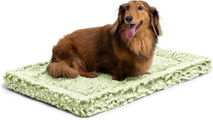 Stoutwool Indestructible Dog Bed - Fluffy Chew Proof Dog Crate Pad - Tough Kennel Pad for Aggressive Chewers - Washable, Ideal for Small Breeds & Fits 24-Inch Crate - 23"x16", Gleam