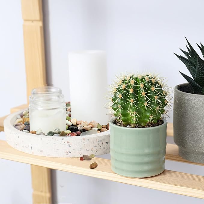 5lbs Small Succulent Rocks, 3/8 Inch Colorful Pebbles for Plants, Decorative Rocks for Plants Indoor, Vases, Planters and Outdoor Gardening Stones