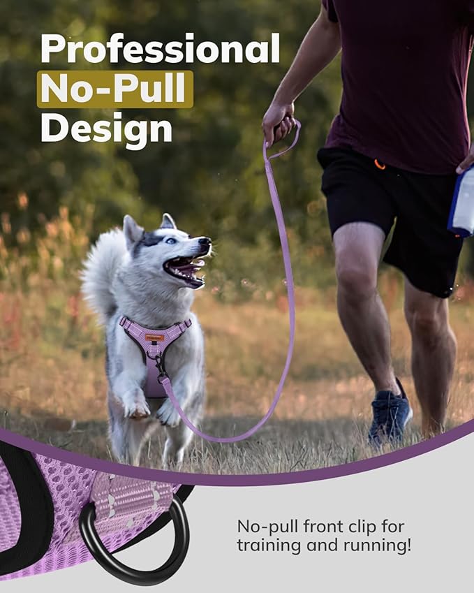 MIDOG No-Pull Dog Harness | Adjustable & Reflective Pet Harness Leash Set for Small Medium Large Dogs Walking, Training| No Choke, Front Clip, Soft Padded Vest with Easy Control Handle - Purple, XL