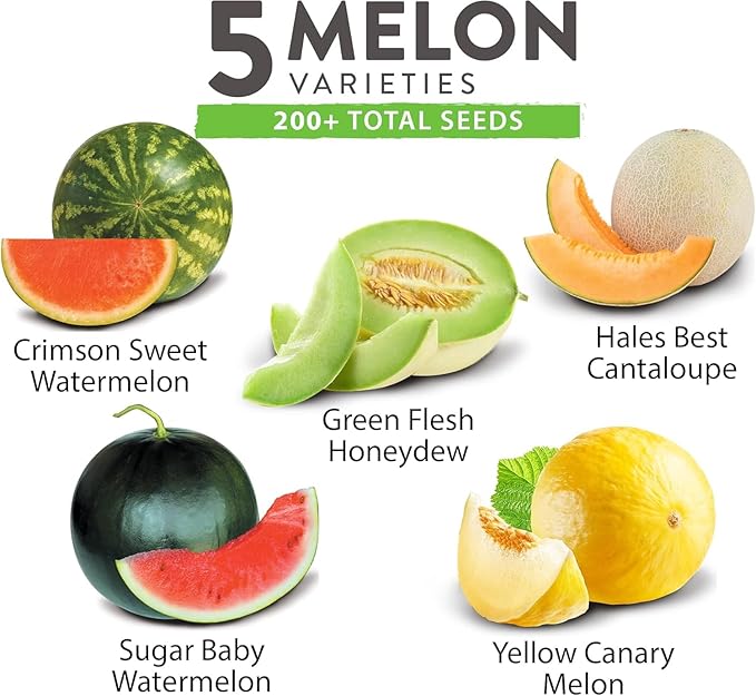 HOME GROWN 𝗨𝗦𝗔 𝗣𝗥𝗘𝗠𝗜𝗨𝗠 Melon Seeds Variety Pack 5 𝗡𝗢𝗡-𝗚𝗠𝗢 Heirloom Vegetable Seeds, Watermelon Cantaloupe Honeydew Sugar Baby & Melon, High Germination for Planting Home Garden Indoors