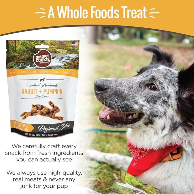 Smart Cookie All Natural Dog Treats - Rabbit & Pumpkin - Training Treats for Dogs & Puppies with Allergies, Sensitive Stomachs - Soft Dog Treats, Grain Free, Chewy, Human-Grade, Made in USA - 5oz Bag