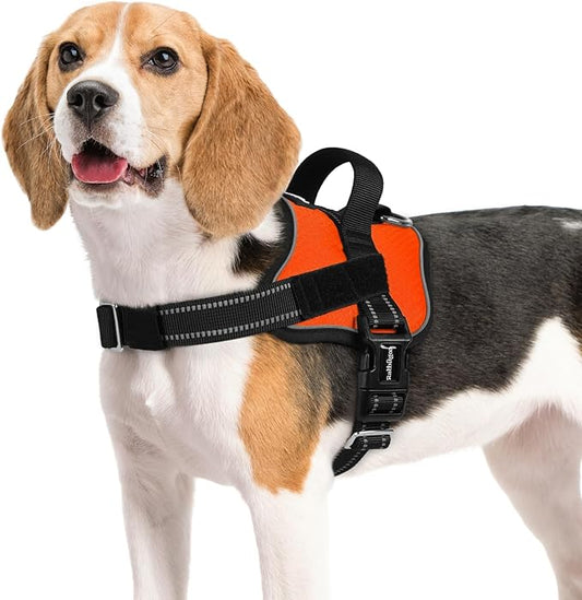 rabbitgoo Dog Harness Medium Sized, Easy On Pet Vest with One Buckle, No Pull Adjustable Service Harness with D-Ring & Handle, Reflective for Safety Walking, Training, Orange, M