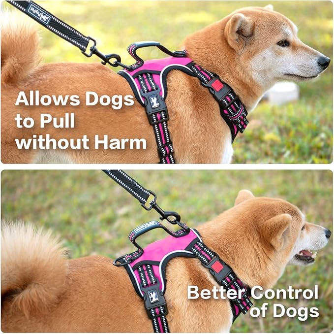 PoyPet No Pull Dog Harness, No Choke Front Clip Reflective Dog Vest with Soft Padded Vertical Handle, 3 Leash Attachments for Small Medium Large Dogs (Pink,XL)