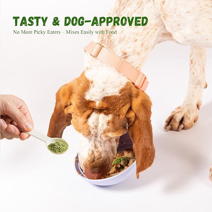 Dog Dental Care Powder - Plaque & Tartar Control with Natural Enzymes, Teeth Cleaning Powder for Dogs with Probiotic, Bad Breath Treatment for Small Medium Large Dogs