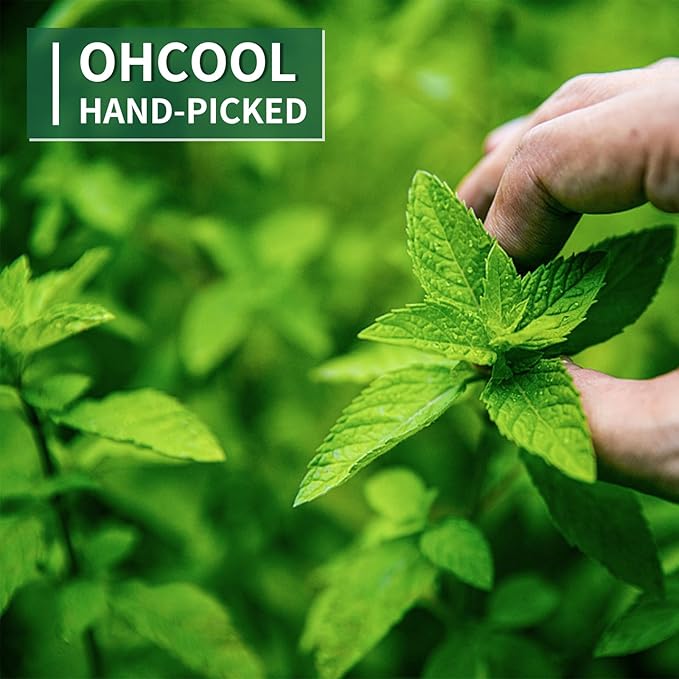 Nature Treats for Small Animals Dried Mint Leave 12 OZ - Dust Free Natural Green Fresh for Pets Rabbits, Rich in nutrients Alleviate Digestive Improve The Oral Health of Pets