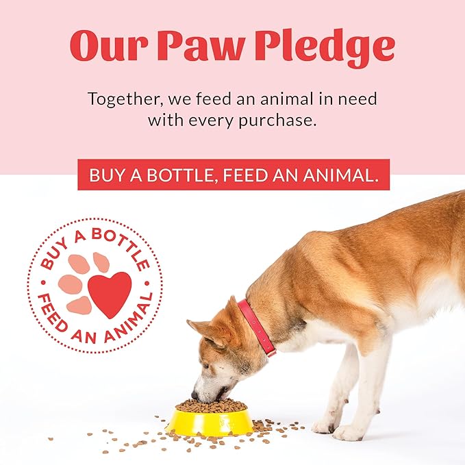 Skout's Honor Probiotic Dog Shampoo & Conditioner with Avocado Oil & Omega-3s, 97% Natural, Paraben & Sulfate-Free, Cruelty-Free, 16oz, Lavender