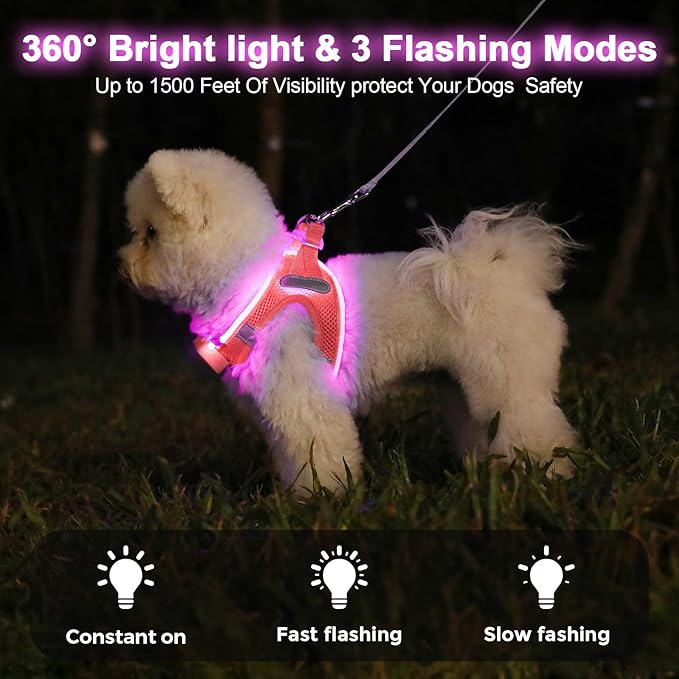 Light Up Dog Harness,Rechargeable LED Dog Harness for Small Medium Large Dogs,Reflective Lighted Safety Vest for Night Walking & Camping,Lightweight & Adjustable,Fluorescent Pink,XS