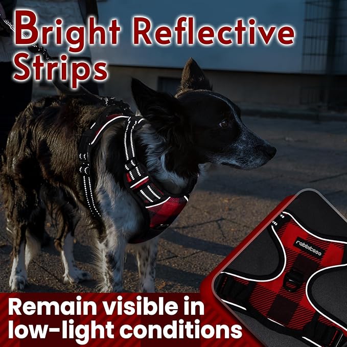 rabbitgoo Dog Harness No Pull with 2 Leash Clips, Adjustable Soft Padded, Reflective Oxford No Choke Pet Vest with Easy Control Handle for Medium Sized Dogs, Red Plaid, M