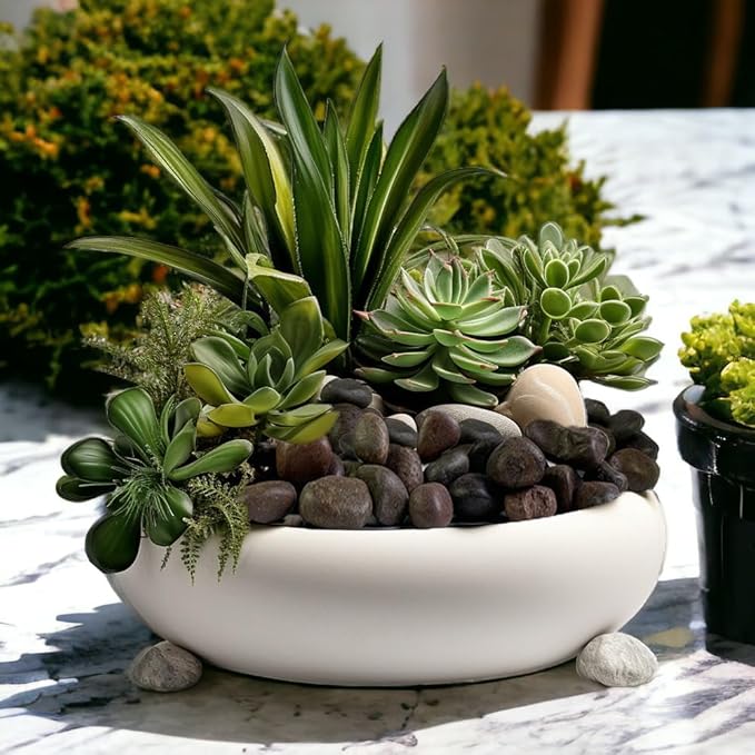 HappyFiller Natural Decorative Pebbles Polished Gravel Rocks Stones for Aquarium,Fish Turtle Tank,Outdoor Indoor Plants Top Dressing,Succulents Soil Cover,Garden Landscaping,2 LB,Red Mix