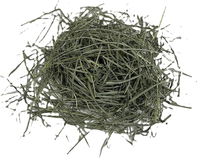 Blue Mountain Hay High-Altitude Teff Grass Hay, 50lb Easy Flake Box - Low NSC & High Fiber for Easy Digestion and Weight Management - Ideal for Horses, Goats, Rabbits, Guinea Pigs & Other Small Pets