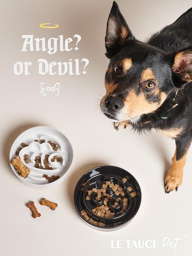 LE TAUCI Dog Bowls Slow Feeder Ceramic, 1.5 Cups Slow Feeding Dog Bowl Small Medium Breed, Puppy Bowl for Fast Eaters,Angel White