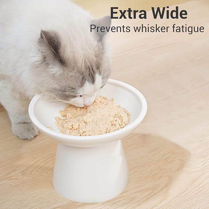 Extra Wide Elevated Ceramic Cat Bowl - 6.2" Shallow Dish for Whisker Fatigue Relief, 5" Height for Easy Feeding, Lead & Cadmium Free, Durable Raised Cat Food Bowls, White
