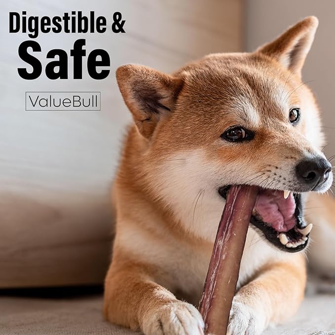 ValueBull Bully Sticks for Dogs, Thick 6 Inch, 200 Count Bulk Pack - All Natural, Grass Fed, Single Ingredient, Long Lasting Dog Treats