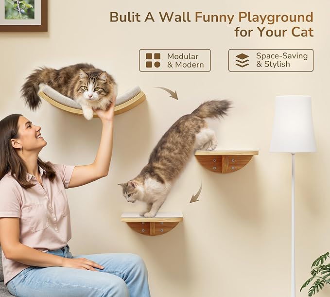 Cat Wall Shelves and Cats Window Perch – Natural Wood 4-Piece Set with Foam-Padded Curved Bed and Felt Steps, Space-Saving Wall Mounted Design
