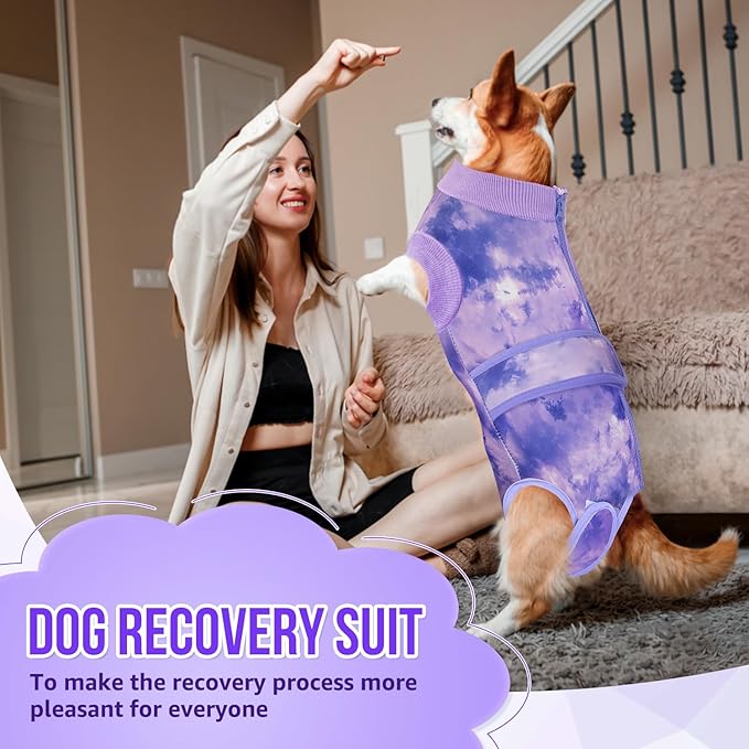 Lukovee Recovery Suit for Dogs, Zipper-On Onesie for Female Male Dog, Abdominal Wounds Cone E-Collar Alternative, Prevent Licking Spay (3XL, Purple Tie-dye)