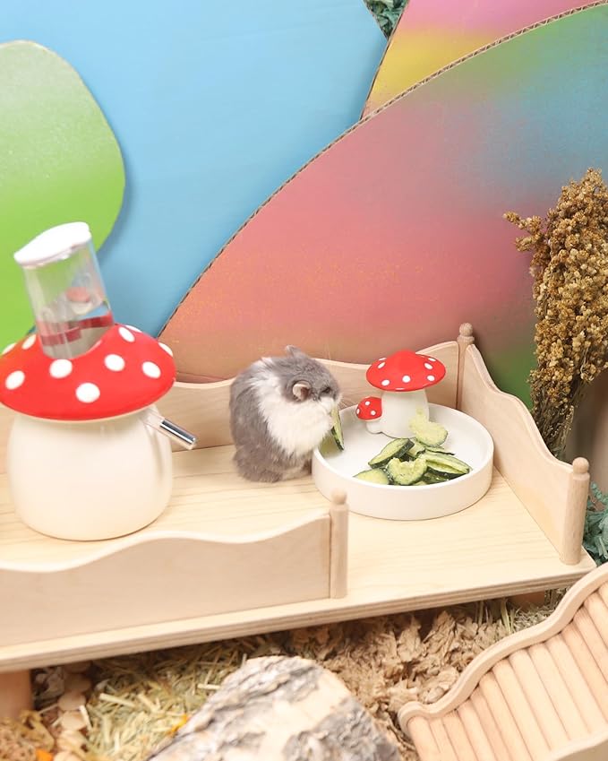 Niteangel Hamster Snack & Treats Toy - Small Animal Natural Treat for Dwarf Syrian Robo Hamsters Gerbils Mice Lemmings Degus or Other Small-Sized Pets