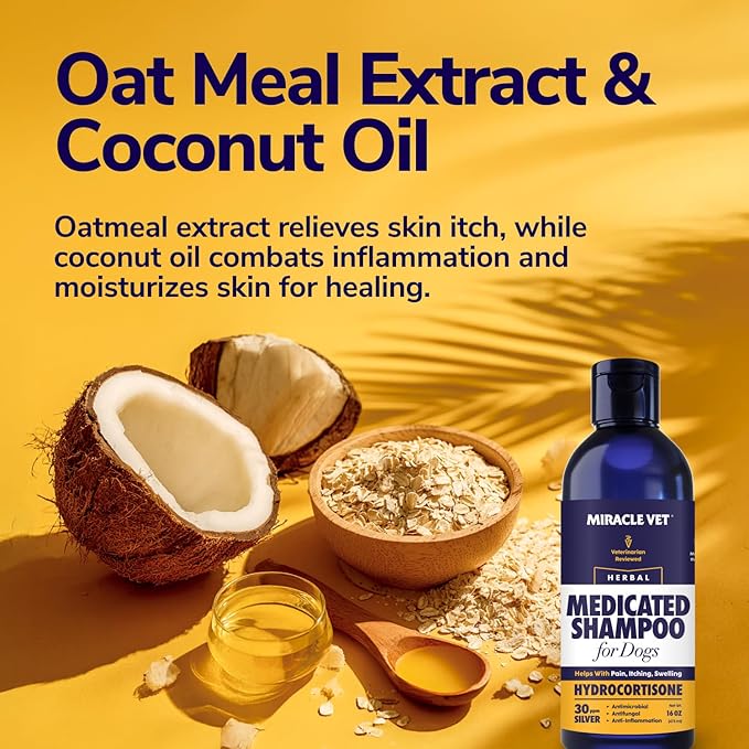 Medicated Dog Shampoo for Itchy Skin Relief - Yeast Infection Treatment for Dogs & Dog Allergy Relief Hot Spot Treatment - Hydrocortisone Antifungal Shampoo (16 oz)