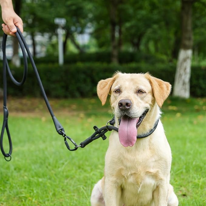 Rope Dog Leash, 6 Foot Heavy Duty Dog Leash with Aviation Aluminum Auto Locking Carabiner, Strong Nylon Pet Lead for Small, Medium, Large Dogs (Navy Blue, 6FT)