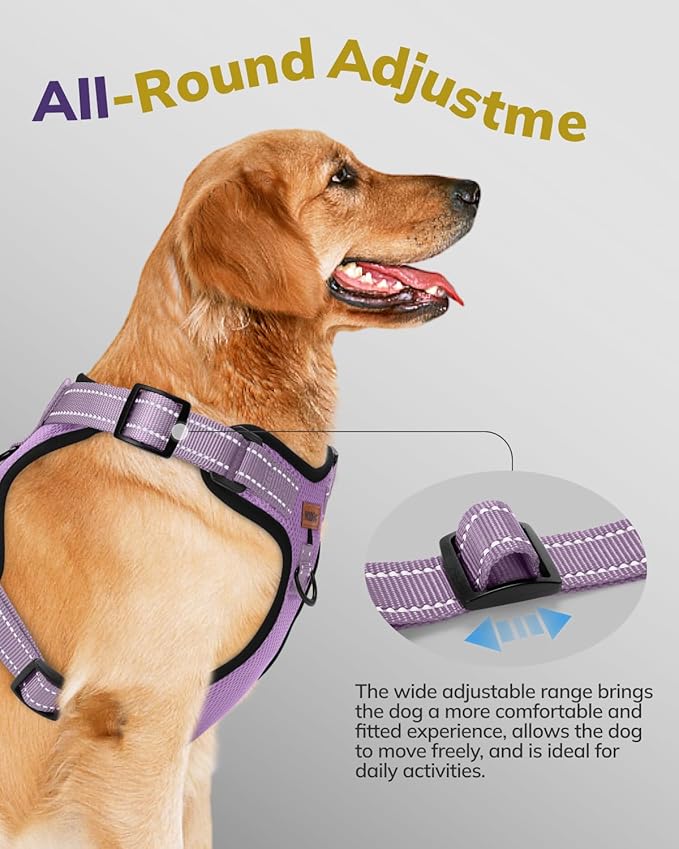 MIDOG No-Pull Dog Harness | Adjustable & Reflective Pet Harness Leash Set for Small Medium Large Dogs Walking, Training| No Choke, Front Clip, Soft Padded Vest with Easy Control Handle - Purple, M