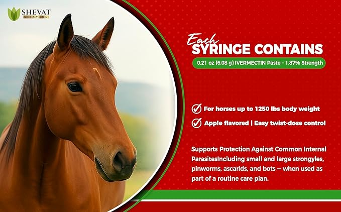 Ivermectin Horse Paste 1.87% – Apple Flavored – 6.08g Tube – for Horses Up to 1250 lb - 1 Pack