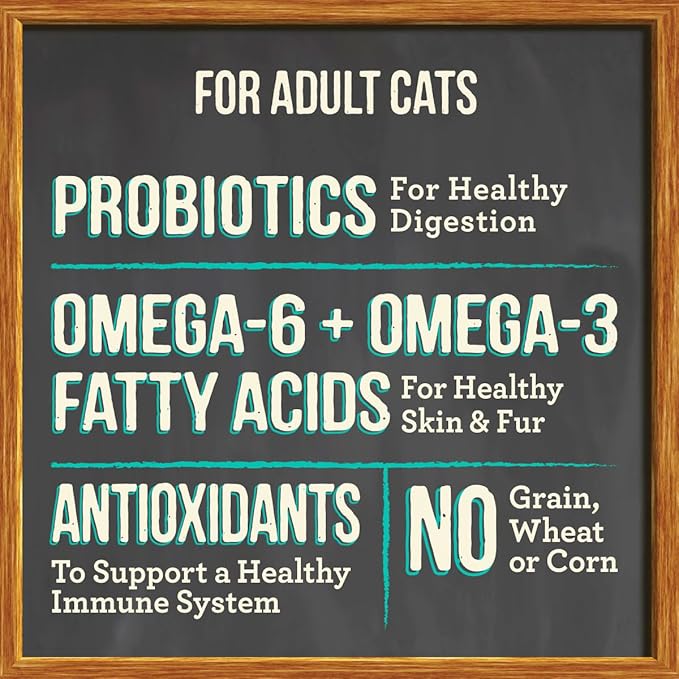 Merrick Purrfect Bistro Grain Free Natural Dry Cat Food For Adult Cats, Real Salmon And Sweet Potato Recipe - 4 lb. Bag