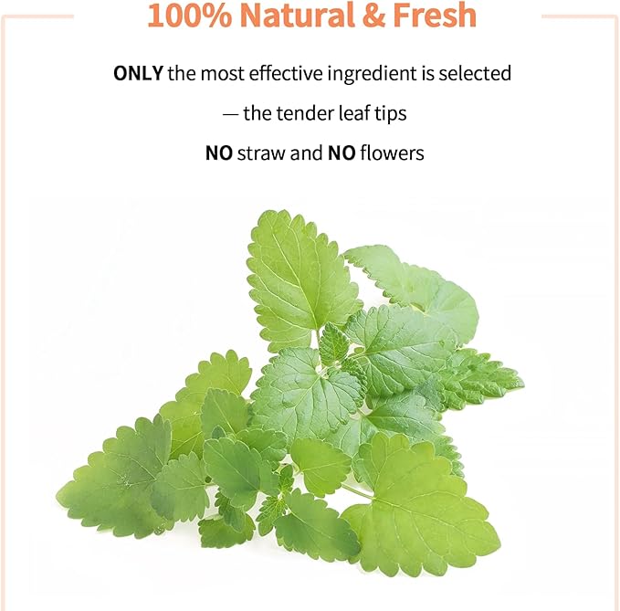 Premium Catnip for Cats & Kittens – Cold-Processed, High Potency Nepetalactone, 100% Pure Leaf-Only Catnip for Toys, Scratchers, Refills, Stimulates Play & Protects Furniture - 45g