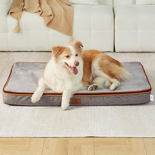 Memory Foam XL Dog Bed - 4” Thick Orthopedic Beds for Extra Large Dogs - Waterproof Dog Bed with Removable Washable Cover & Wrap-Around Zipper - Ultimate Comfort and Easy Maintenance