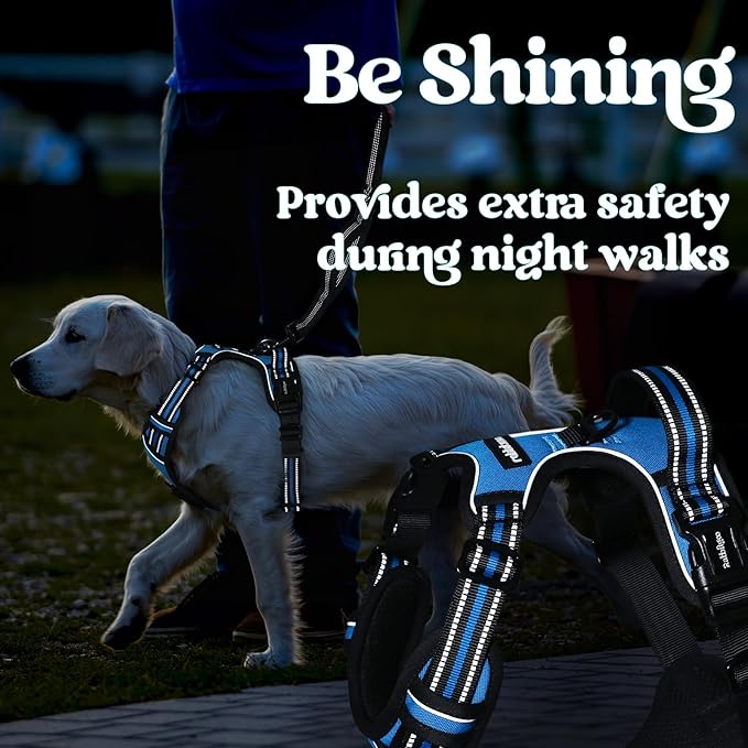 rabbitgoo Dog Harness Medium Sized, No Pull Pet Harness with 3 Buckles, Adjustable Soft Padded Vest with Control Handle, Walking Reflective Pet Vest for Medium Dogs, Sky Blue, M