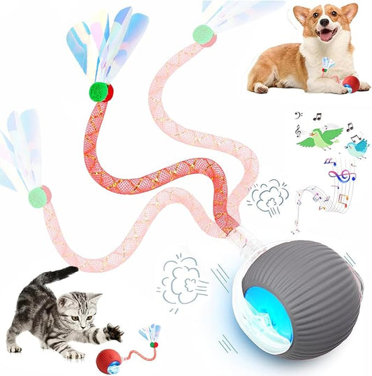 Speed 2.0 Tail Interactive Cat Toys for Indoor Cats, Chirping & Motion Activate Ca t Toy, Smart Kitten Rolling Ball Moving Ball Toys, Rechargeable Dog Cat Bal l for Enrichment Exercise (Grey)